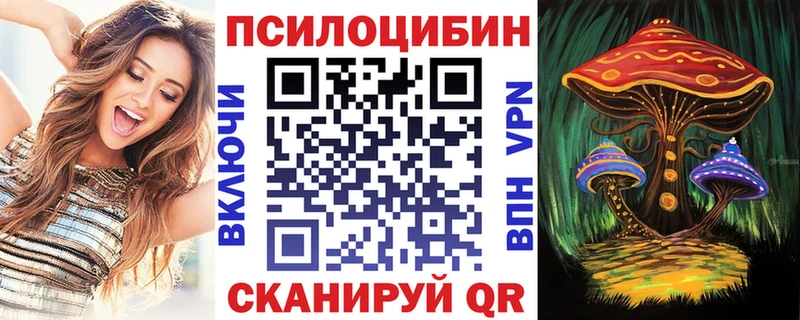 Псилоцибиновые грибы мицелий Саки