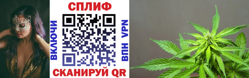 МАРИХУАНА SATIVA & INDICA  продажа наркотиков  OMG онион  Саки 